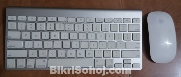 Apple Magic keybord and mouse